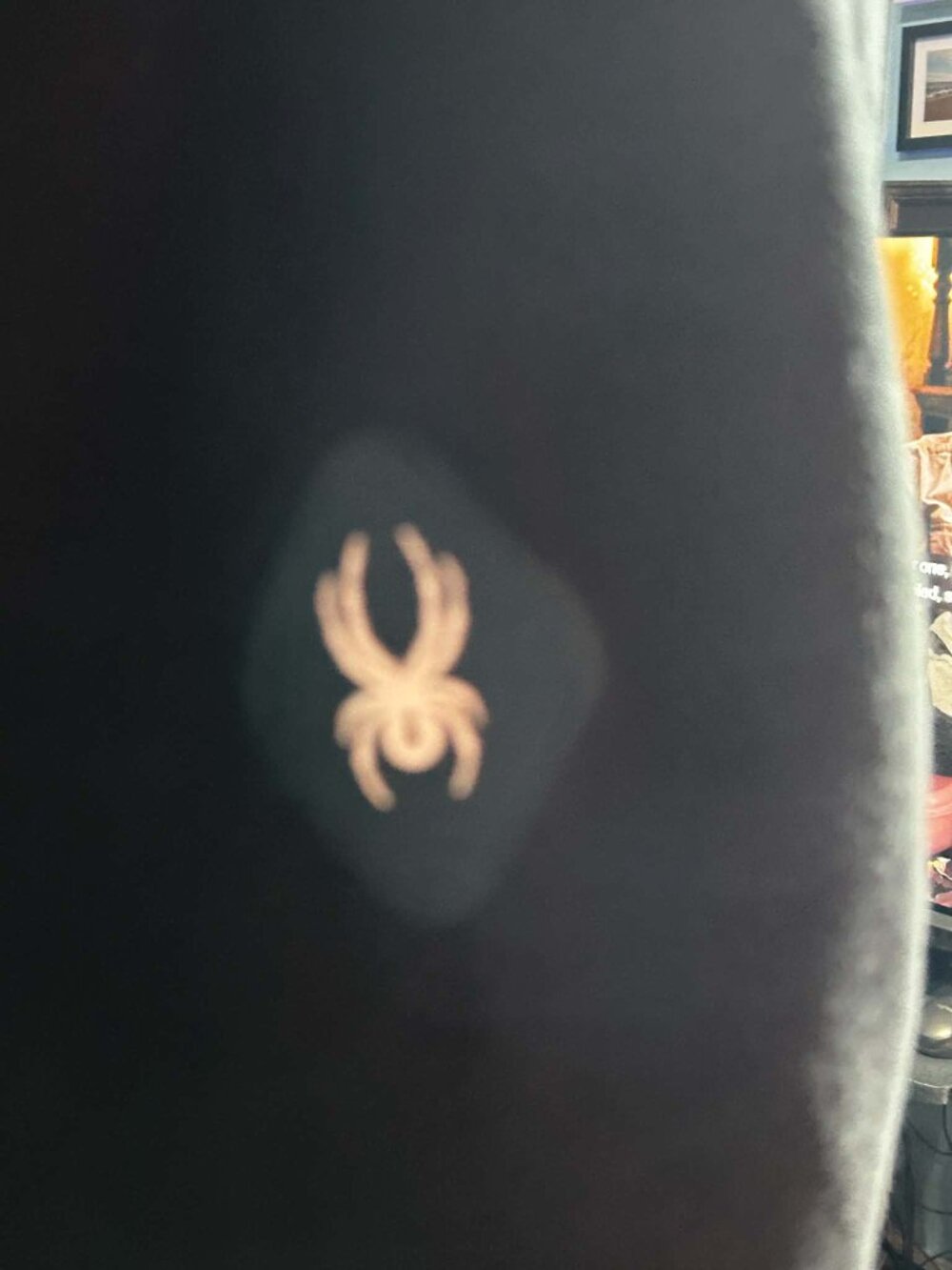 Spider Jacket - Picture 3 of 9